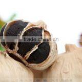 Superior Quality Good Price China Black Garlic thumbnail-6