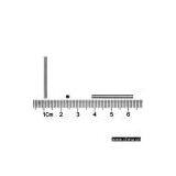 Sell Bearing Rollers thumbnail-1