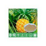 Pineapple Juice Powder thumbnail-1