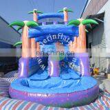New Fashion Giant Inflatable Water Slide,inflatable Colorful Water Slide,Double Tube Inflatable Water Slide thumbnail-6