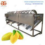 Hot Sale Mangoes Sorting Machine/Stainless Steel Mango Sorting Machine/Automatic Mango Sorting Machine thumbnail-3