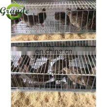 Layers Cage Commercial 6 Layers Quail Cage Poultry Animal Cage 200-300 Quail Breeding Automatic Feeding thumbnail-3