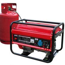 Hot Sale for Home/Outdoor Use LPG/LNG Generator With CE and EPA Approved thumbnail-3