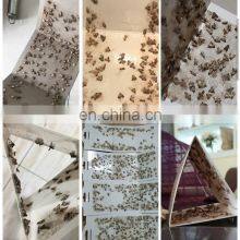 Moth House Borer Moth Rice Flour Moth Insect Trap Factory Wholesale Good Quality Closet Indoor and Outdoor TRAPS 2 Year 7-15days thumbnail-4