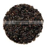 Niger Seeds thumbnail-3