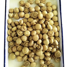 Whole Mushroom Slice Mushroom in Brine or in SO2 in Drum SETA Preservada en Tambor thumbnail-3