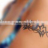Funny Temporary Tattoo thumbnail-1