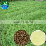 Pure Natual High Quality Flax Seed /Flax Lignans, SDG