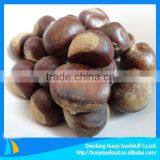 2014 Crop 100% Natrual Green Chestnut in Shell thumbnail-1
