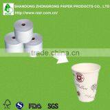 190+15gsm Single Side pe Coated Paper for Cups thumbnail-1