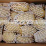 250g Fresh Potato 10kg Bag and Carton Packing thumbnail-3