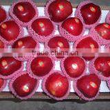 HUANIU APPLE thumbnail-2