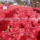 Yellow Onion With Competitive Prices thumbnail-2