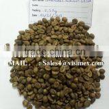 VIETNAM ROBUSTA COFFEE BEANS SCREEN 16 ORIGINAL