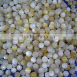 Yellow Lip Mother of Pearl Nucleus