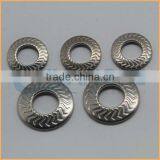 China Professional Manufacturing m6 Lock Washer thumbnail-5