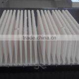 Dry Ski Skiing thumbnail-1