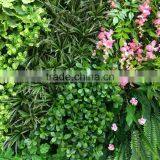 SJ0409027 Plant Climbing Walls Plastic Plants Wall/vertical Green Wall Garden thumbnail-2