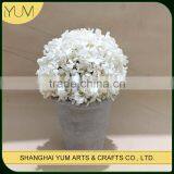 Preserved Hydrangea Flowers Immortalized Hydrangea Flowers thumbnail-1