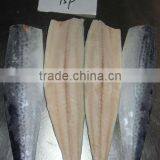 Fish Price of Spanish Mackerel Fillets thumbnail-1