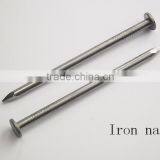 Common Iron Nails