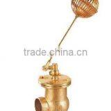 Ball Float Valve thumbnail-1