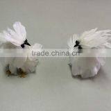 Halloween Animal thumbnail-4