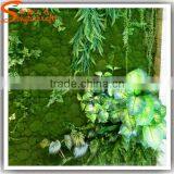 Hot Sale Mini Lanscape Projects Used Colorful High Simulation Grass Cheap Landscaping Garden Grass thumbnail-4