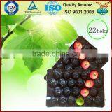 Australia Market Popular Wholesale Stone Fruit Packaging Food Grade Plastic Tray Liner thumbnail-1