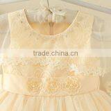 New Arrival Fashion Design Small Girls Dress Lace Princess Baby Girls Flower Sexy Dresses Kids Clothes thumbnail-3