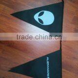 Polyester Printing Bunting Flag thumbnail-1