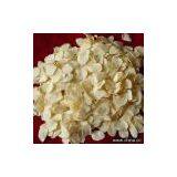 Sell Dehydrated Garlic thumbnail-1