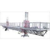 Working Height 100 m 1700 kg Double Mast Climbing Work Platform