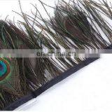 Quality and Quantity Assured Wholesale Peacock Feather Trim thumbnail-2