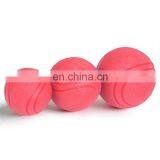 High Quality Bite Resistant TPR Pet Toys Solid Dog Bouncy Ball thumbnail-1