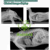 New Arrival Medical Veterinary X-ray Equipment/x-ray Machine,vet Digital x Ray Scanner Price for Sale thumbnail-2