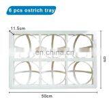 Incubator Egg Trays/poultry Egg Trays/pigeons Egg Tray thumbnail-6