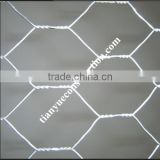 galvanized hexagonal wire mesh(factory and supplier)