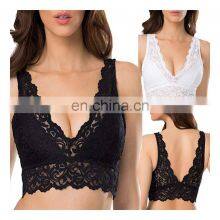 Women Sexy Bra 2019 Hot Sell Lingerie Fashion New Sexy Women Bra Lace Wireless Underwear Lingerie thumbnail-5
