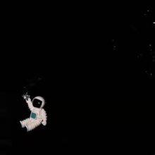 Foshanfreedom company overview - view 1 thumbnail