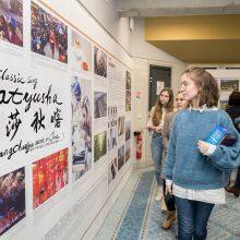 Modern Folk Painting and Calligraphy Art Treasure 