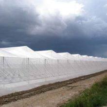 HDPE Anti-Thrip Insect Net Custom Cutting Processing Service thumbnail-5