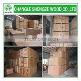 Bintangor Plywood 1220x2440 Different Thickness Price thumbnail-5