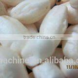 2.Crispy Rice Production Equipment Made of Stainless Steel