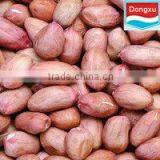 Factory Sale Peanut