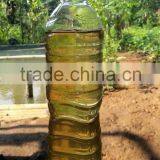 CITRONELLA ESSENTIAL OIL Indonesia Origin thumbnail-1