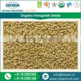 Good Quality Organic Fenugreek Seeds for Industrial Use