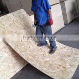 Cheap OSB/8mm OSB 3 Board (Oriented Strand Board) thumbnail-1
