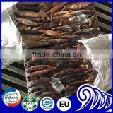 Frozen 100g down Illex Argentinus Squid Whole Round