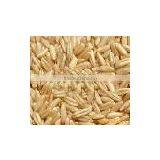 QATS - QUICK COOKING OAT thumbnail-1